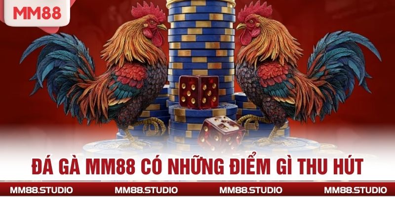 Đá gà MM88 có những điểm gì thu hút