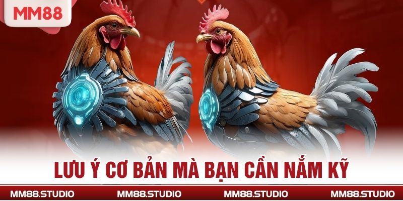 Lưu ý cơ bản mà bạn cần nắm kỹ